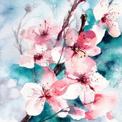 peach blossom