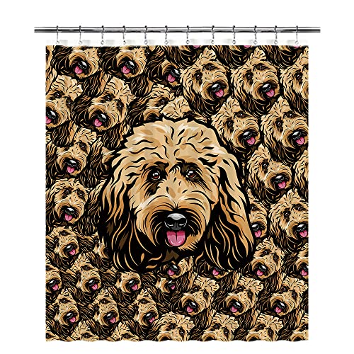Goldendoodle