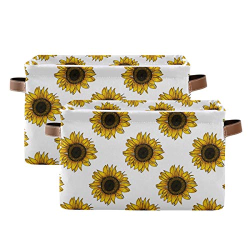Meadow Sunflower
