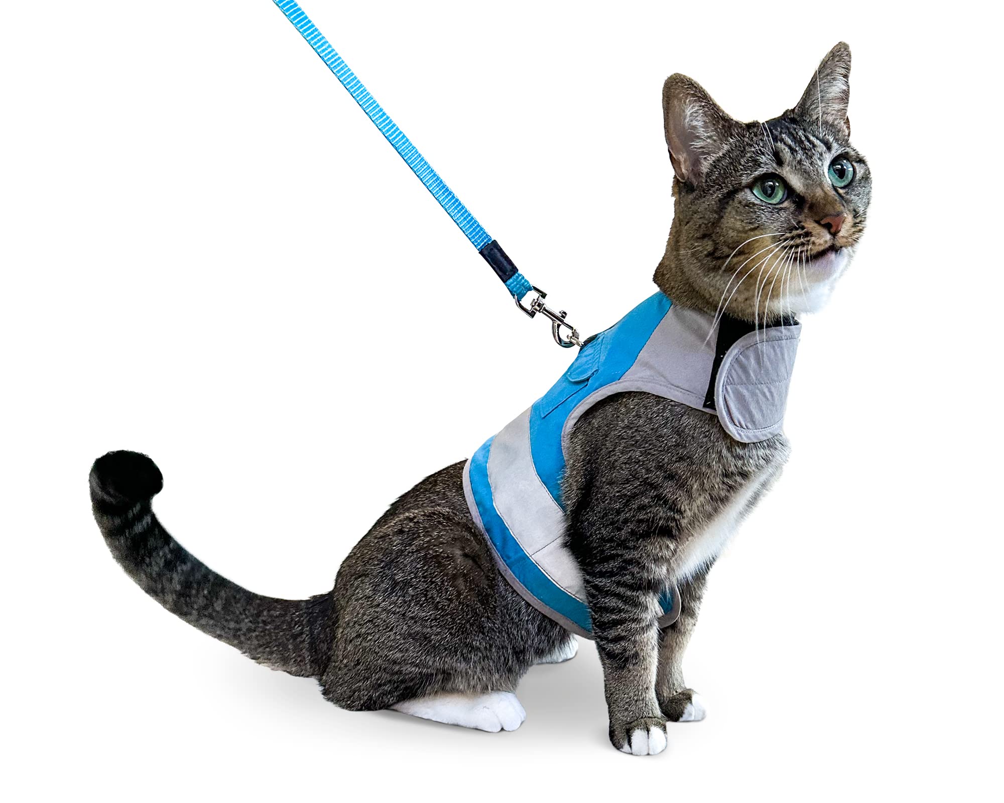 CAT SCHOOL Soft & Comfortable Cat Harness and Leash Set for Outdoor Walks, Training, Travel - Secure Adjustable Cat Vest with 10' Long Leash - Easy Step-by-Step Instructions (M/L) - Perfect for Park Adventures, Vet Visits & Safe Exploration