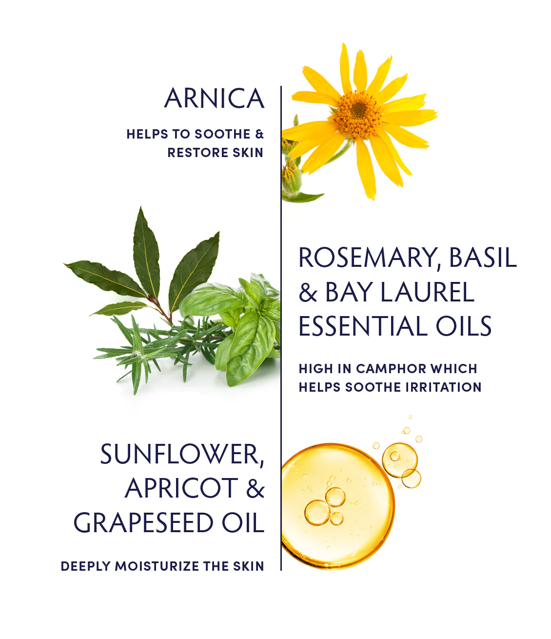 Naturopathica Alpine Arnica Bath & Body Oil - Soothing Muscle Relief & Skin Hydration | Perfect for Post-Workout Recovery, Spa Nights & Relaxation