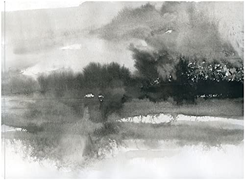 Lake Drama I