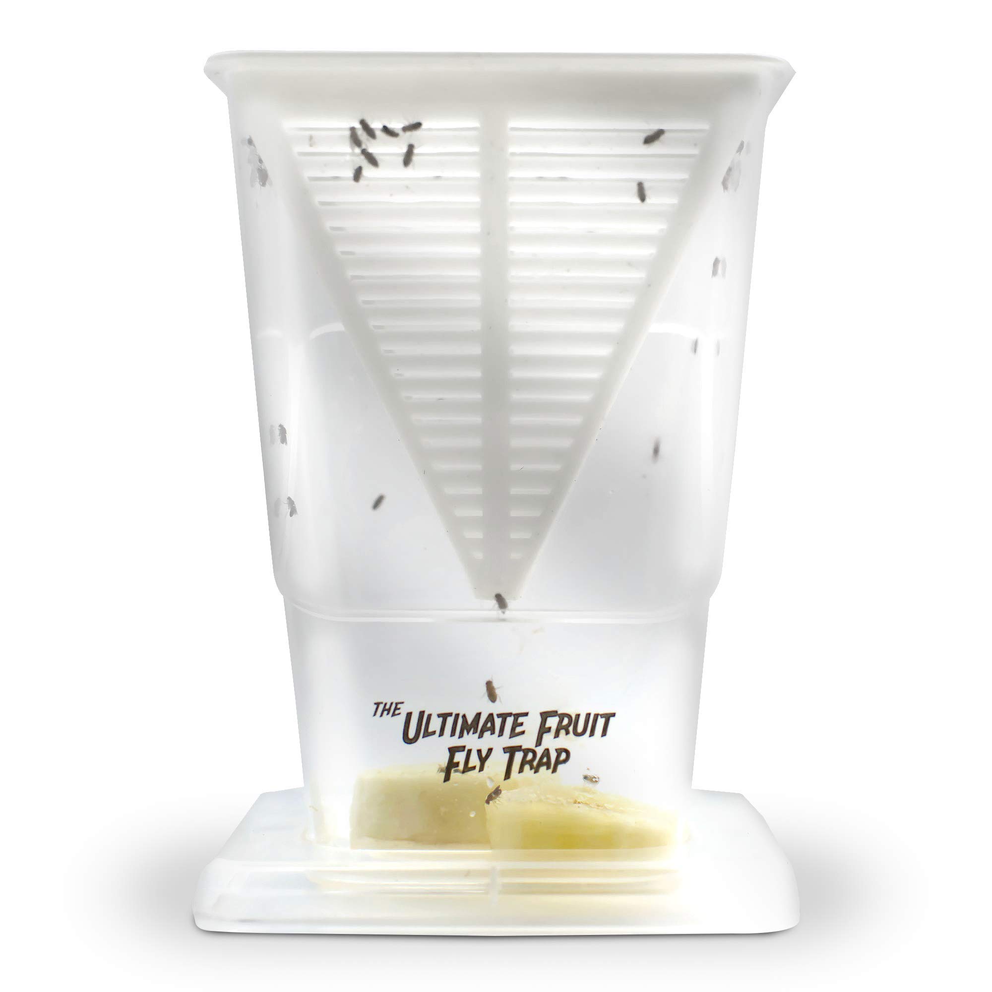 Non-Toxic Reusable Fruit Fly Trap for Kitchen & Indoors - Natural Bait Catches & Kills Fruit Flies - Perfect for Countertops, Pantries & Dining Areas