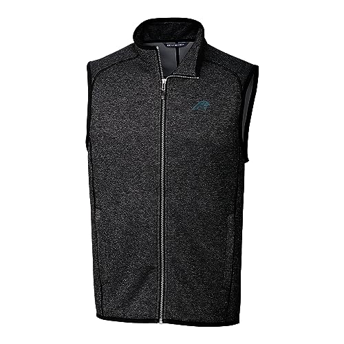 Carolina Panthers, Heather Charcoal