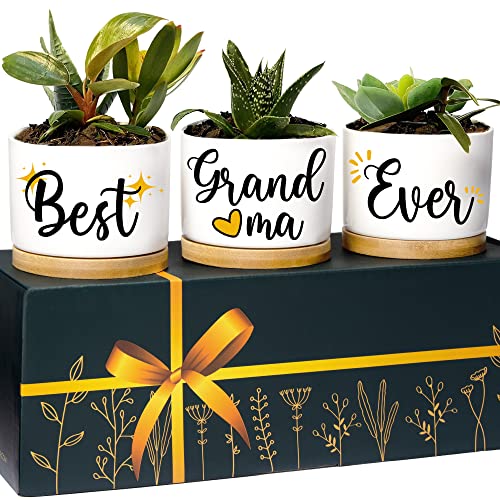 Grandma Planters