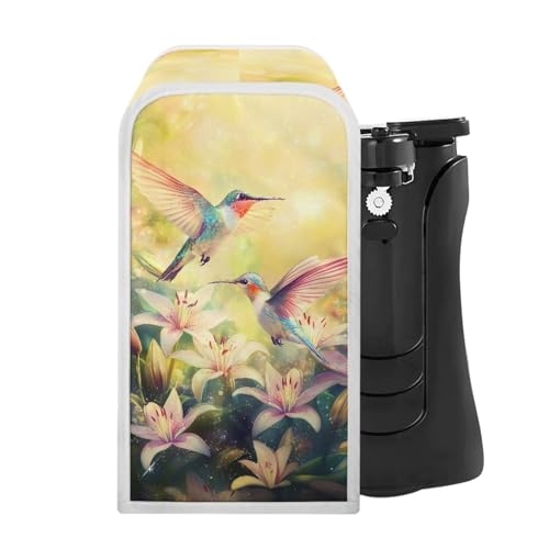 Fancy Hummingbird