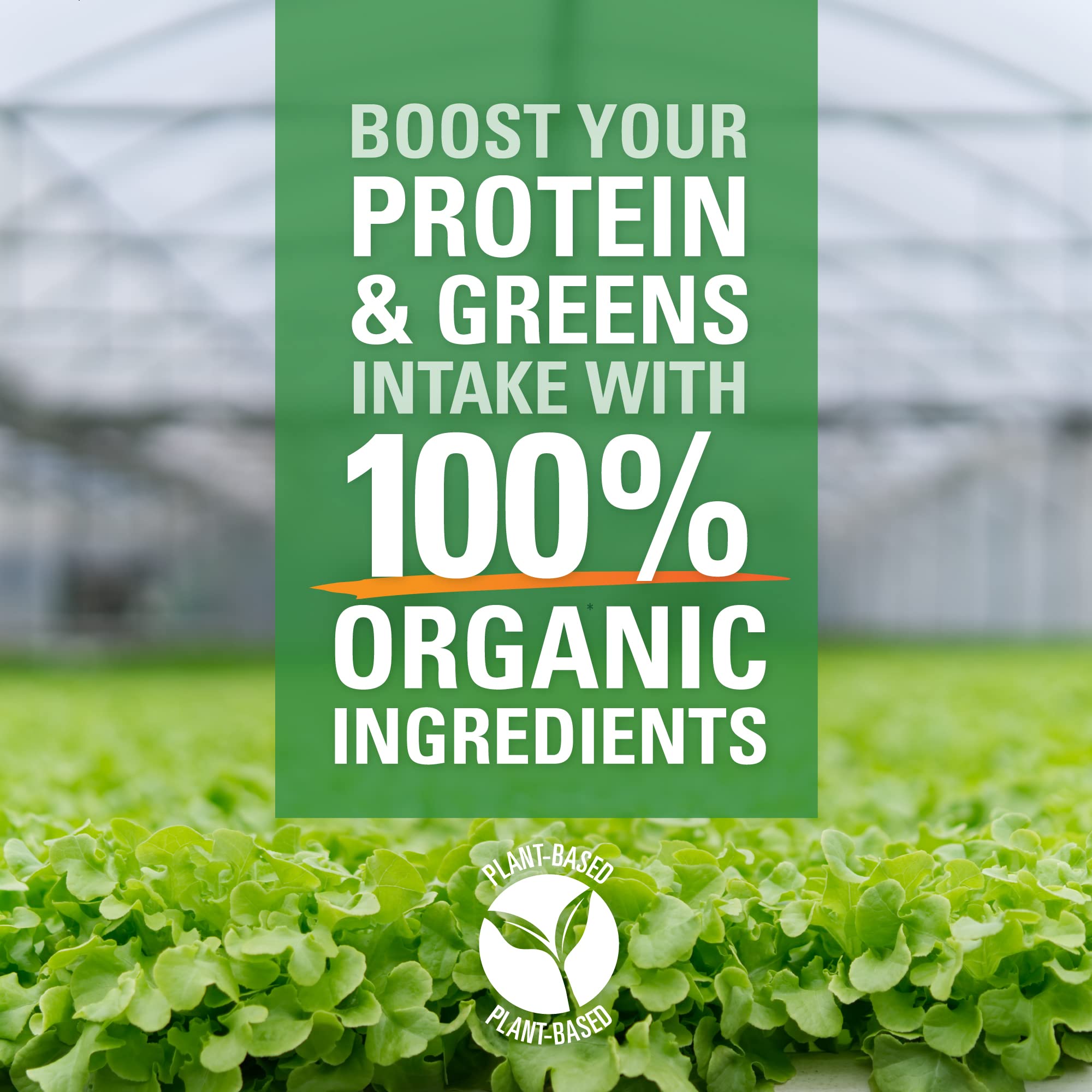 Organic Vegan Protein Powder with Superfood Greens - Vanilla Flavor | Plant-Based Meal Replacement for Smoothies, Shakes & Post-Workout Recovery