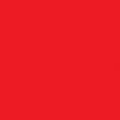 Red Ink