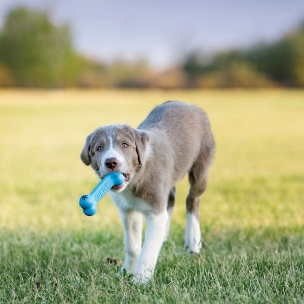 KONG Puppy Goodie Bone Dog Toy - Durable Chew Toy for Teething Puppies, Small Dogs - Perfect for Training, Playtime & Anxiety Relief