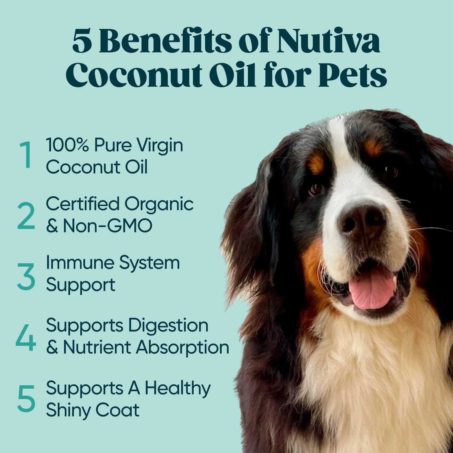 Nutiva Organic Coconut Oil 128 fl oz - Cold-Pressed, Unrefined, USDA Organic Extra Virgin Coconut Oil for Cooking, Hair Care, Skin Moisturizer & Massage | Perfect for Baking, Frying, DIY Beauty Recipes & Aromatherapy