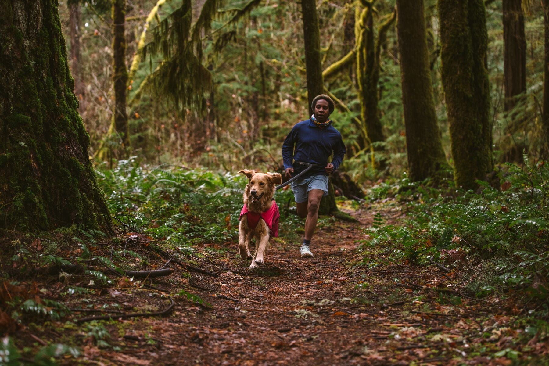 Waterproof Dog Raincoat - Ruffwear® Sun Shower® Dog Vest in Hibiscus Pink (Magenta Rosa) for Outdoor Adventures & Rainy Day Walks