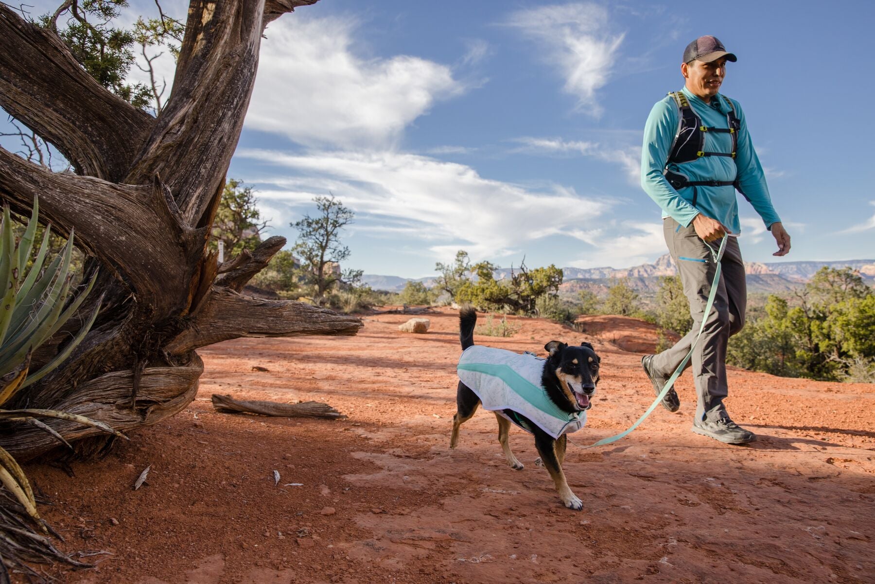 Ruffwear® Swamp Cooler Vest - Sage Green Cooling Dog Vest for Hot Weather | Outdoor Hiking, Running & Summer Adventures