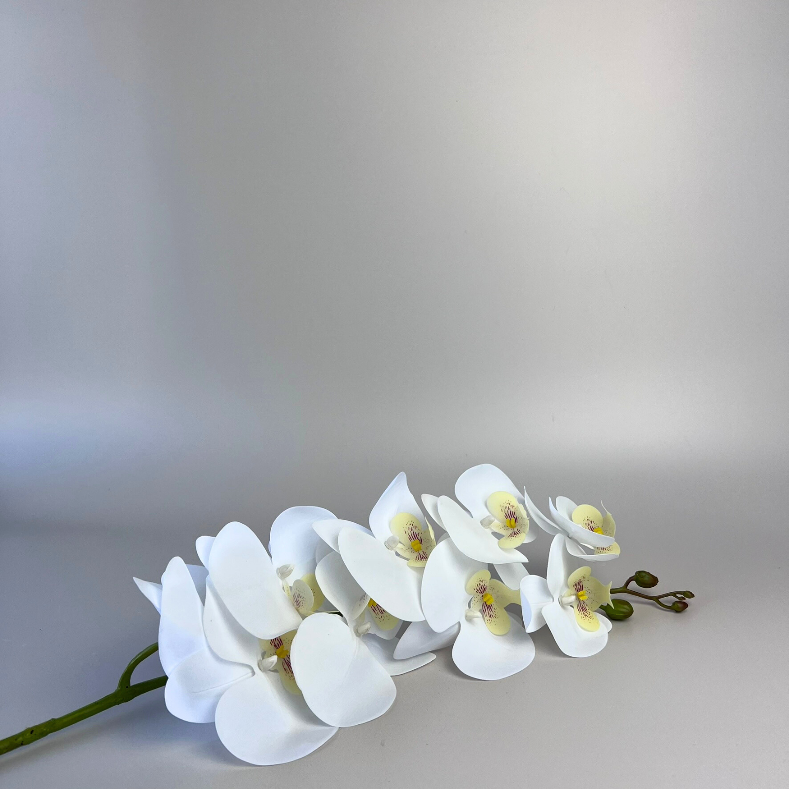 Premium Real Touch Phalaenopsis Orchid - 9 White Artificial Silk Flowers for Home Decor, Wedding Centerpieces & Office Arrangements