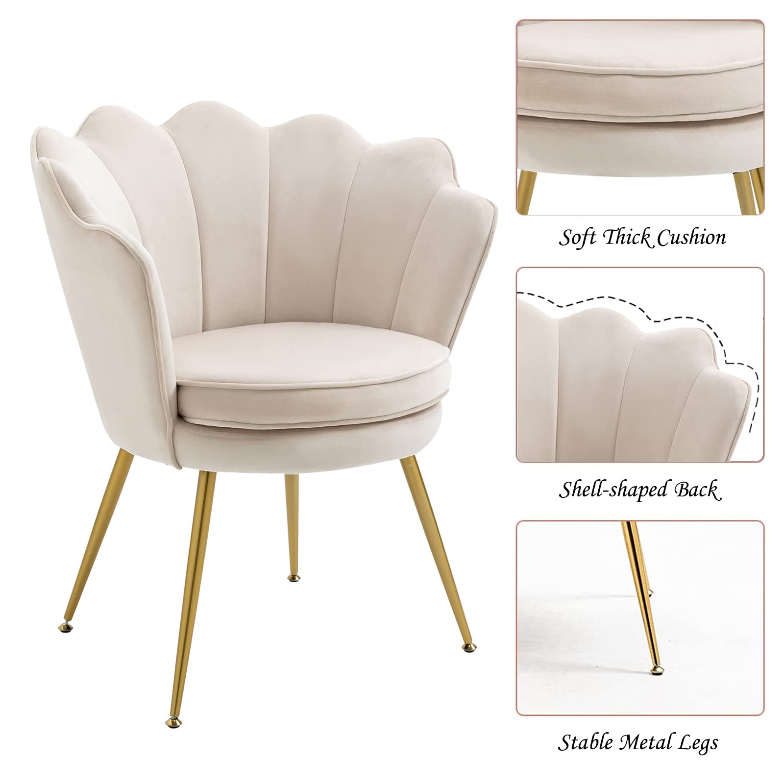Modern Velvet Accent Chairs Set of 2 - Shell-Shaped Upholstered Armchairs with Golden Metal Legs for Bedroom, Living Room & Dining Room | Comfy Vanity Chair, Makeup Chair & Desk Chair (Beige) - Perfect for Home Decor, Guest Seating & Cozy Reading Nook