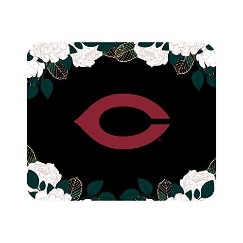 Florals & Nature 1