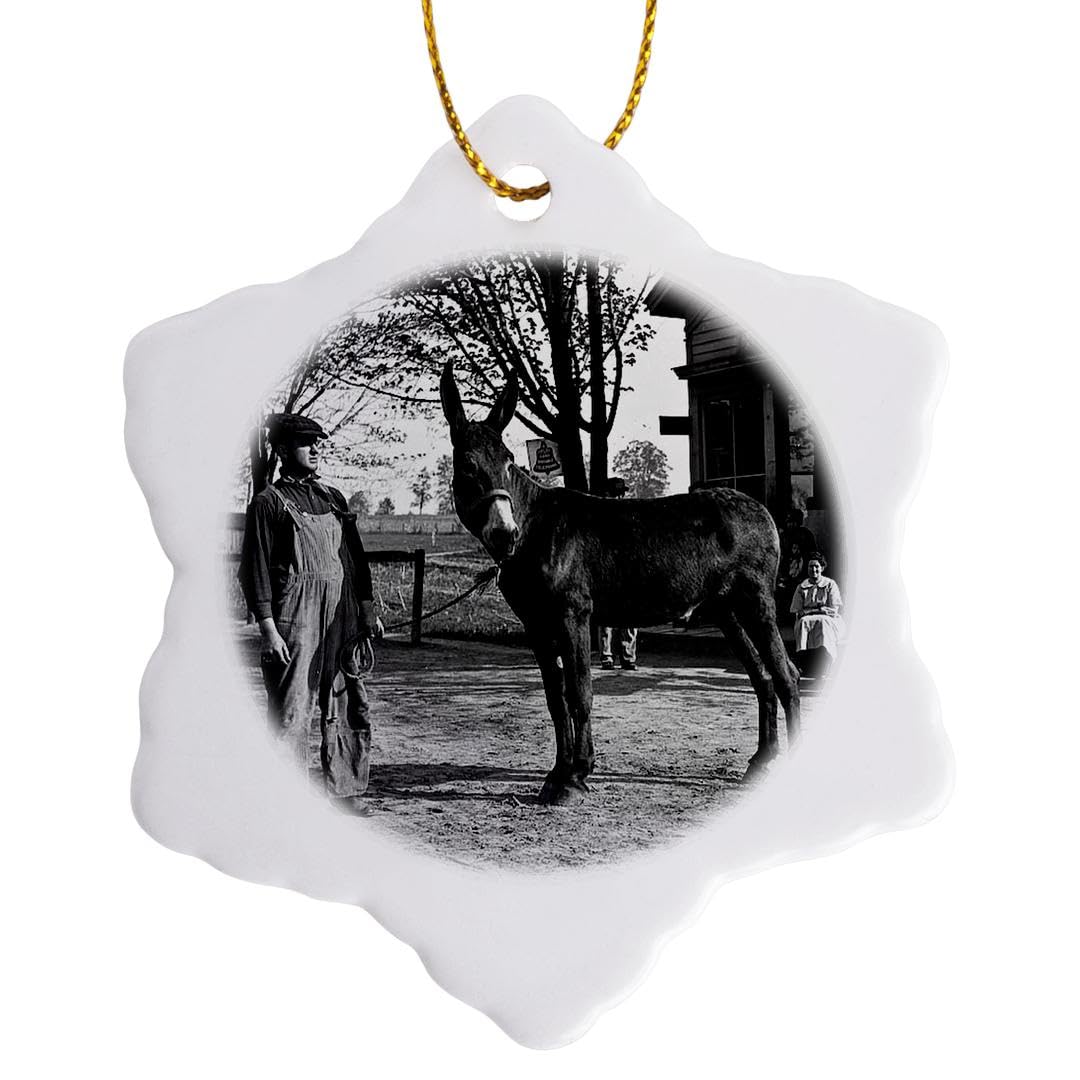 3D Rose 1902 Man and A Mule in Milwaukee Grayscale Snowflake Ornament - Vintage Christmas Tree Decoration, Unique Holiday Gift for Collectors