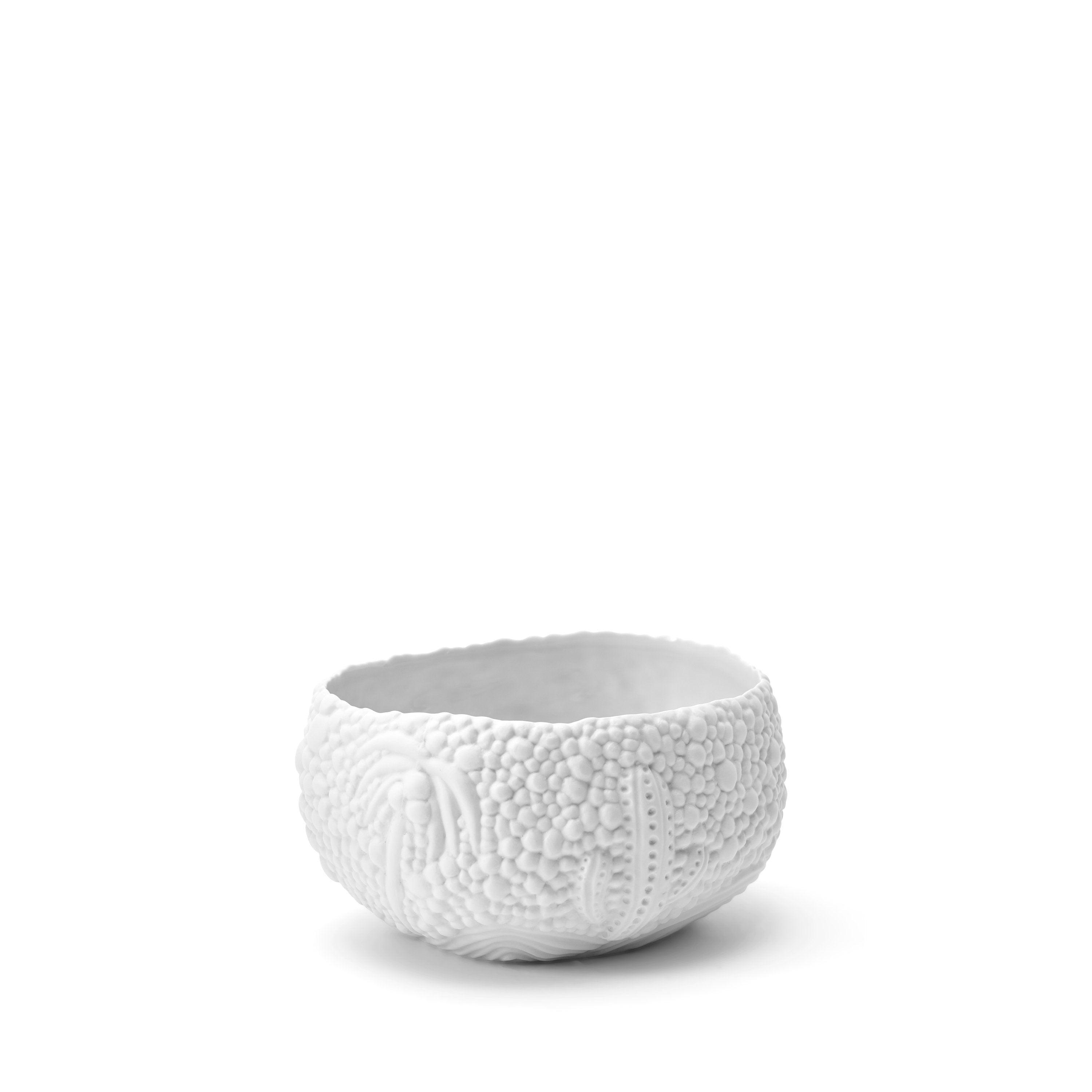 Premium Haas Mojave Desert Bowl - Handcrafted Ceramic Serving Bowl for Soups, Salads & Snacks - Perfect for Home Dining & Entertaining Guests