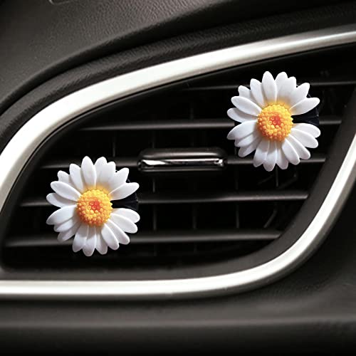 White Notched Daisy