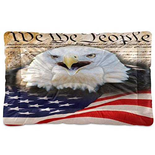 Bald Eagle American Flag