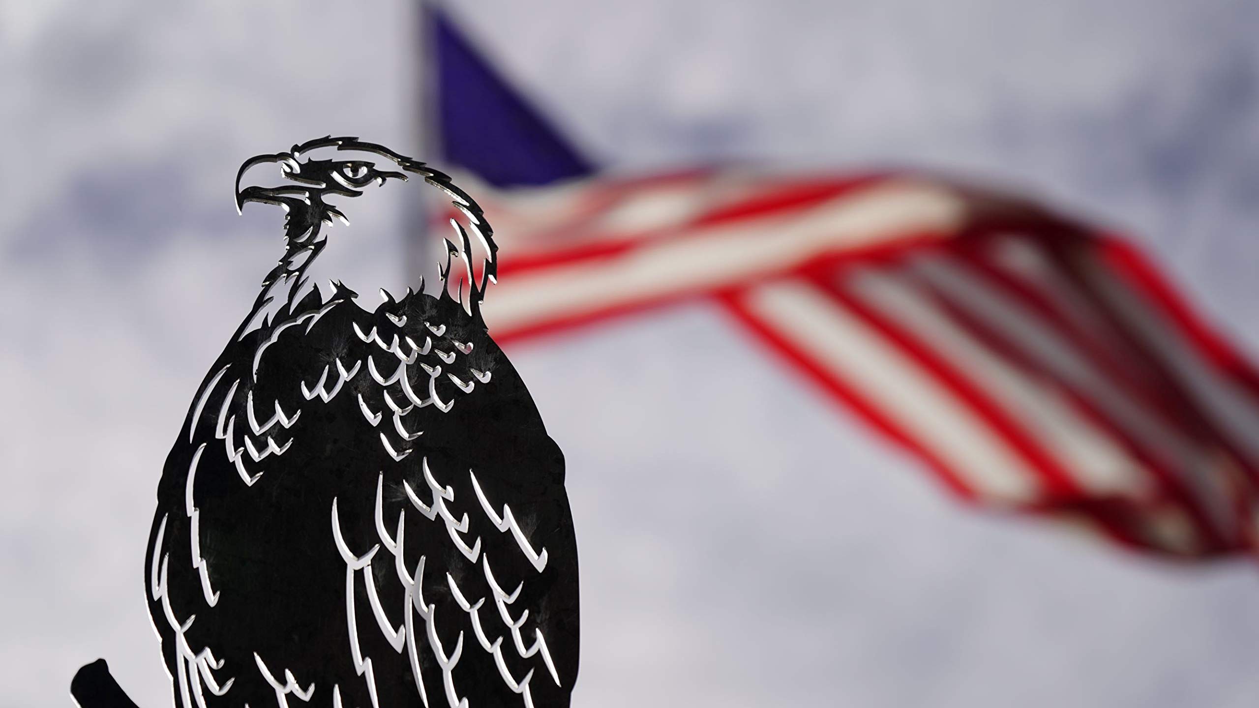 Steel Bald Eagle Wall Decor | Handcrafted Metal Art for Garden, Backyard & Tree | Corten Steel Silhouette with Patina Rust Finish | Perfect for Outdoor & Rustic Home Decor