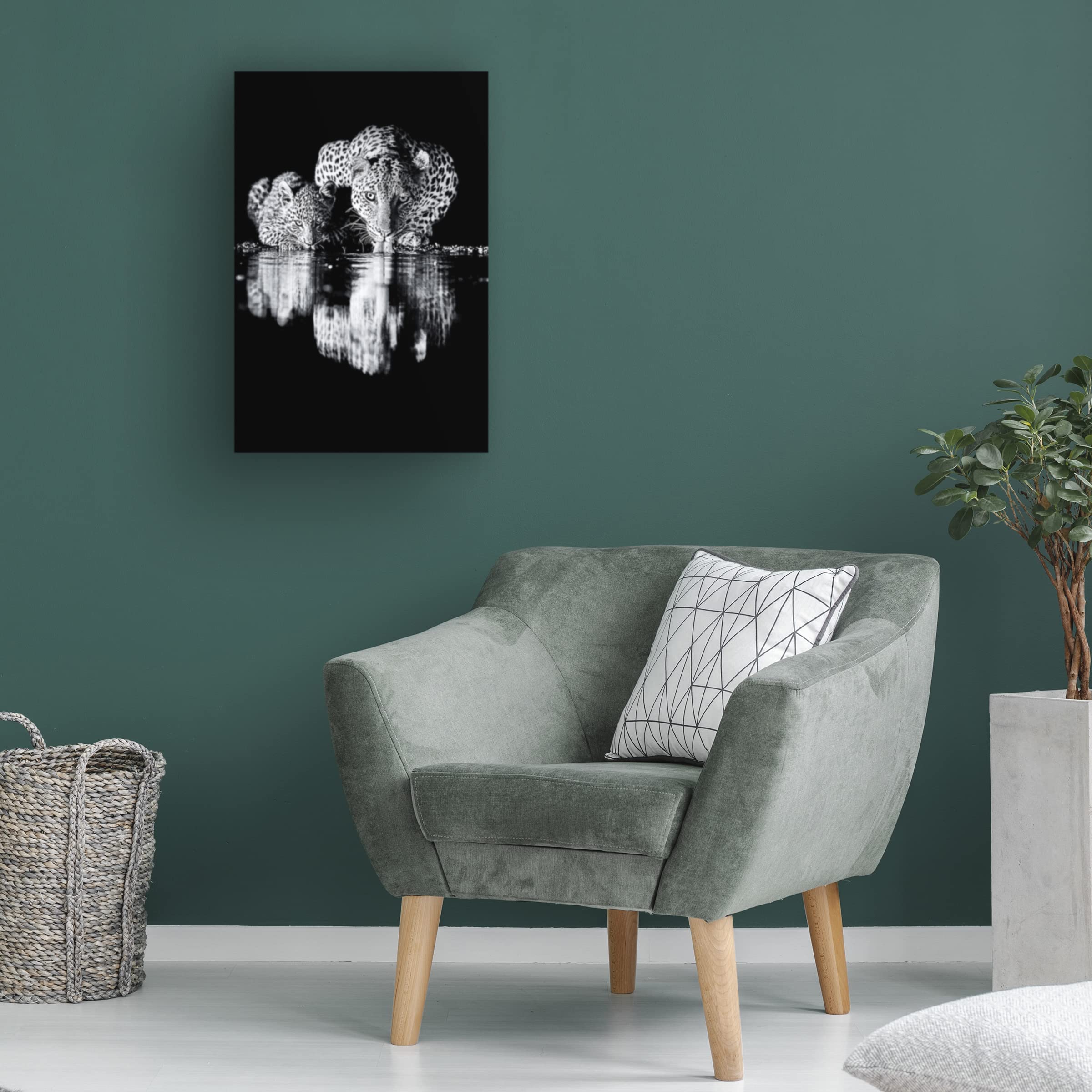 Trademark Fine Art 'Leopard' Canvas Print by Amnon Eichelberg - Stunning Wildlife Wall Decor for Living Room, Bedroom & Office