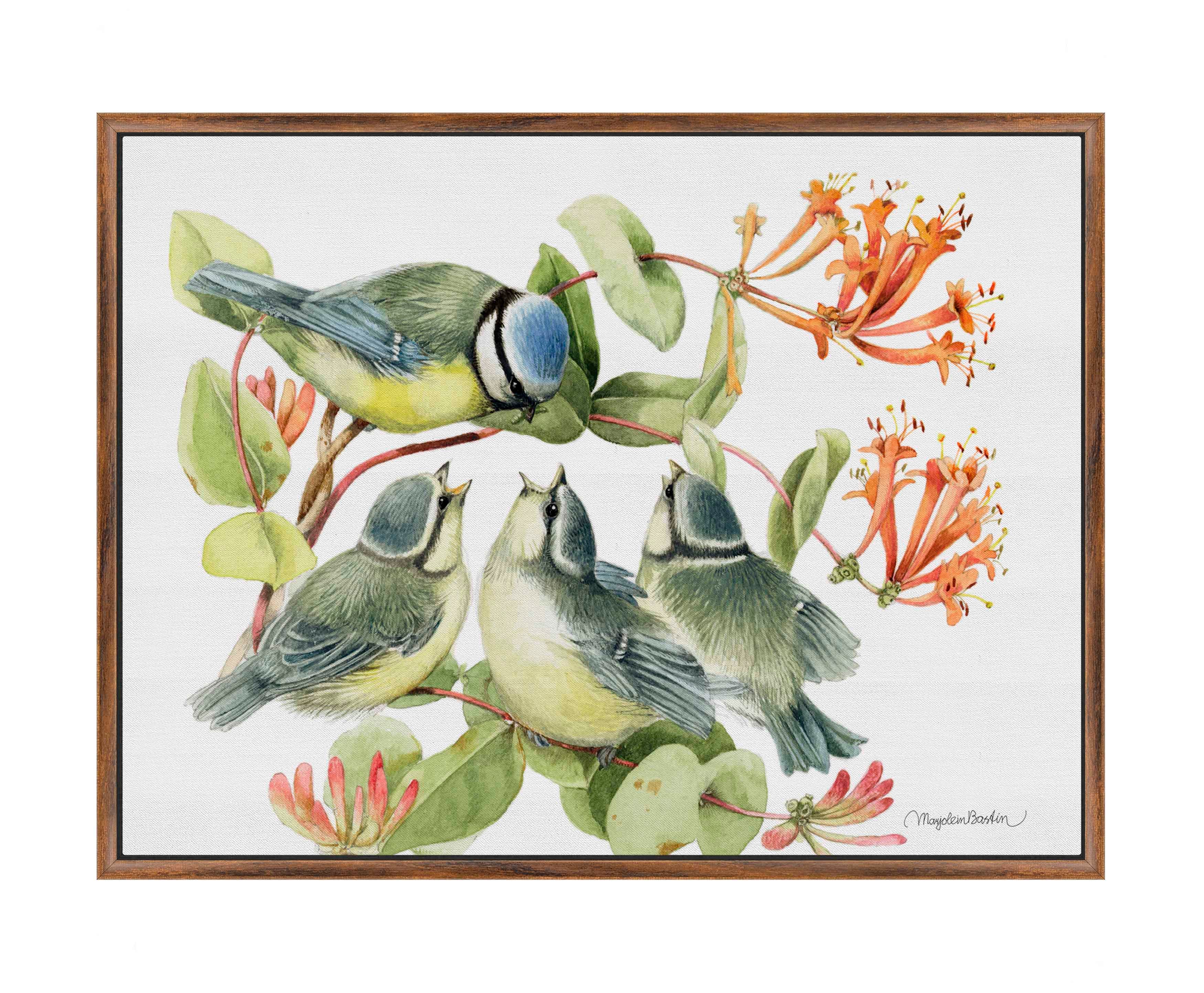 Always Hungry Blue Tit Bird Art Print - Premium Gallery Wrapped Canvas Wall Decor for Living Room, Bedroom & Office