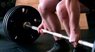 Hampton Olympic Urethane Grip Weight Plates - Premium Rubber Coated Gym Plates for CrossFit, Powerlifting & Home Workouts