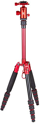 AM-005R
