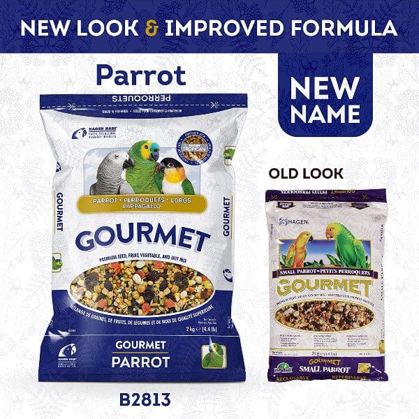 Premium Parrot Seed Mix - HARI Gourmet Bird Food for Cockatiels, Conures & Parakeets | Healthy & Nutritious Diet for Pet Birds | Perfect for Daily Feeding & Training Treats