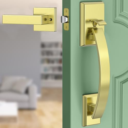 Stain Brass Door Handle