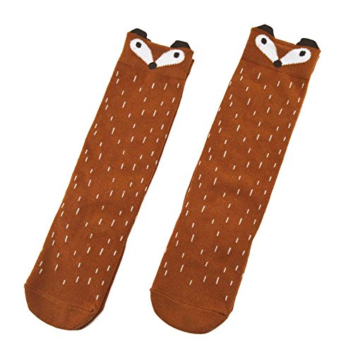 Orange Fox (2 Pairs)