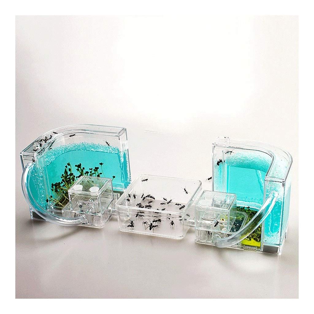 LLNN Acrylic Ant Farm Kit - DIY Insect Habitat with Edible Blue Gel, 11.8x4.3x4.3 Inch - Study Ant Behavior & Ecosystem - Perfect for Science Education, Birthday Gifts & Home Decor