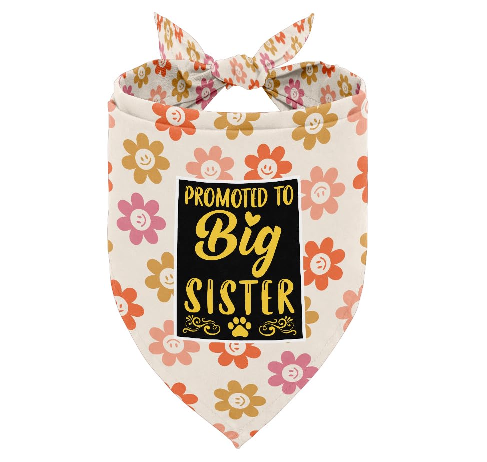 Pro to Big Sister 13