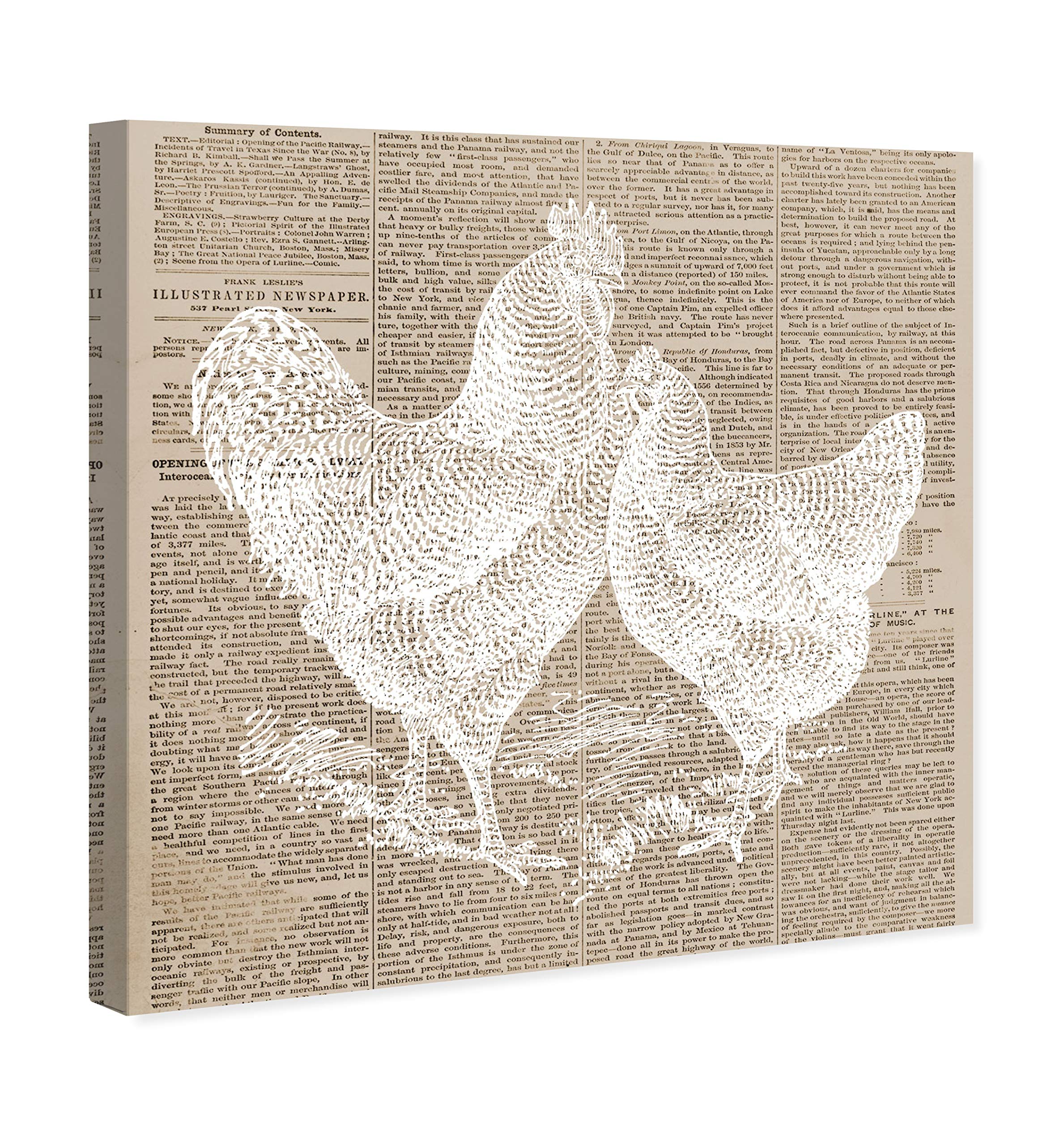 Oliver Gal Artist Co. 'Chicken and Hen Newspaper' Animal Wall Art Canvas Print - 30x30 Inches Farmhouse Decor, White & Brown - Perfect for Living Room, Bedroom, or Kitchen Decor