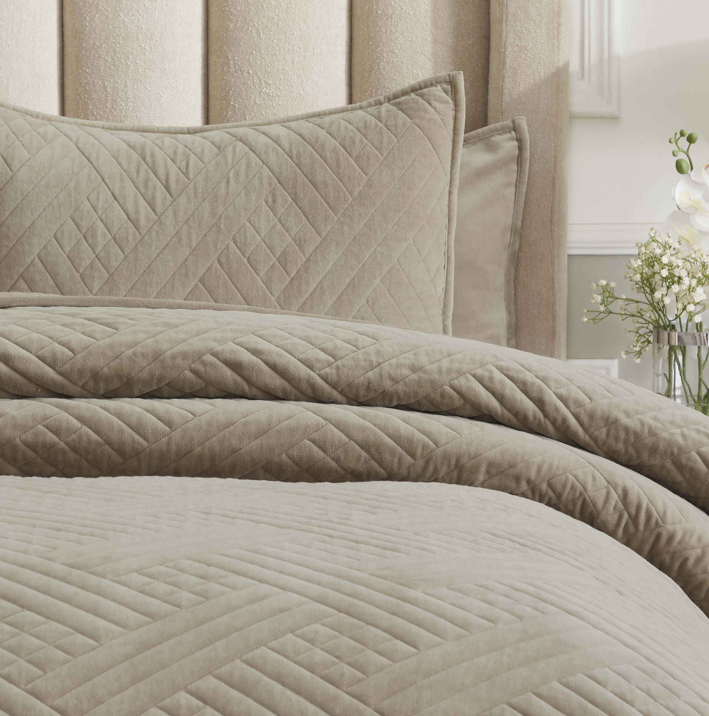 Karina Cotton Velvet Lightweight Quilt & Sham Set - Ultra Soft Bedding for All Seasons | Perfect for Master Bedroom, Guest Room & Cozy Nights