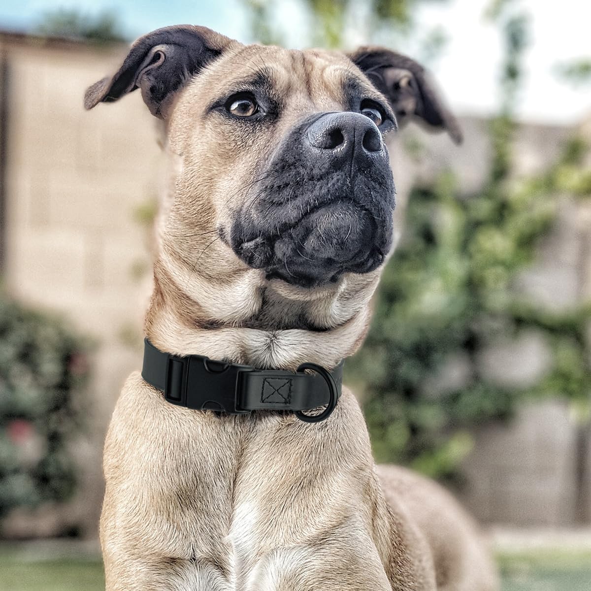 Waterproof Biothane Dog Collar with Quick Release Buckle - Odor-Proof, Easy Clean Nylon Webbing for Small, Medium & Large Dogs (1