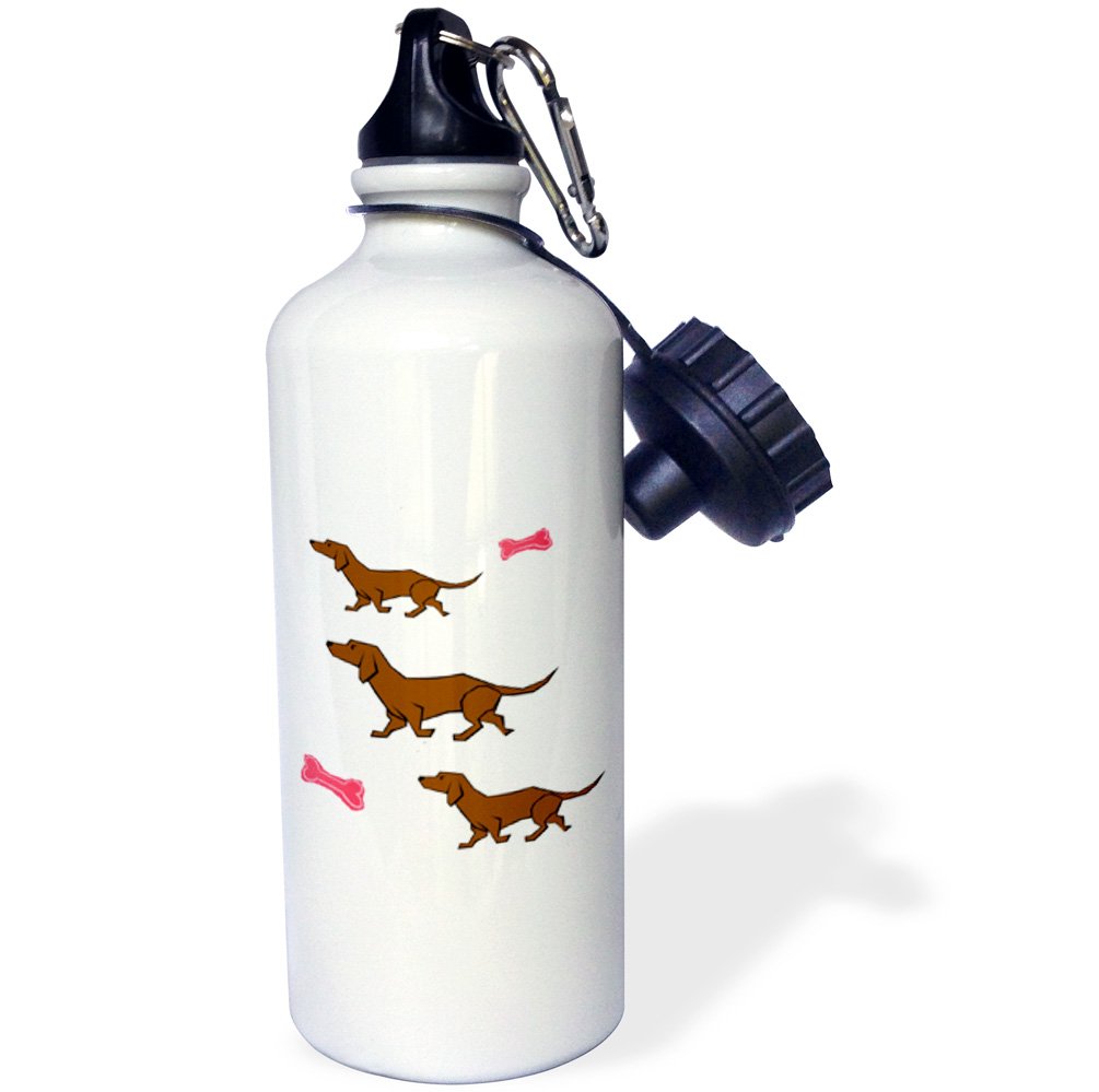 3D Cartoon Dachshunds with Red Bones Sports Water Bottle - 21oz Insulated Stainless Steel Water Bottle for Gym, Hiking & Outdoor Activities - BPA Free White Water Bottle for Kids & Adults