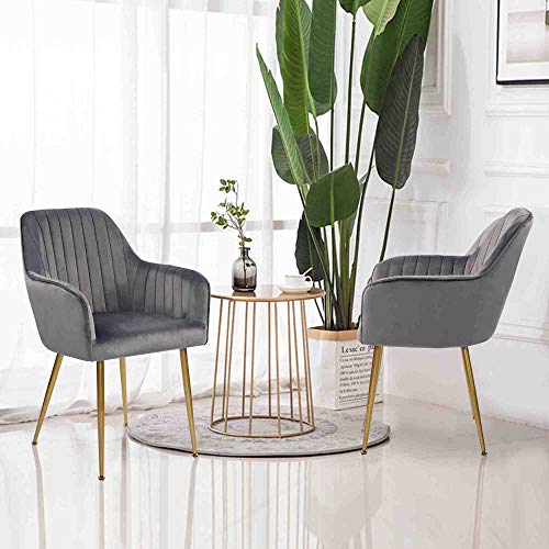 Gray Set of 2