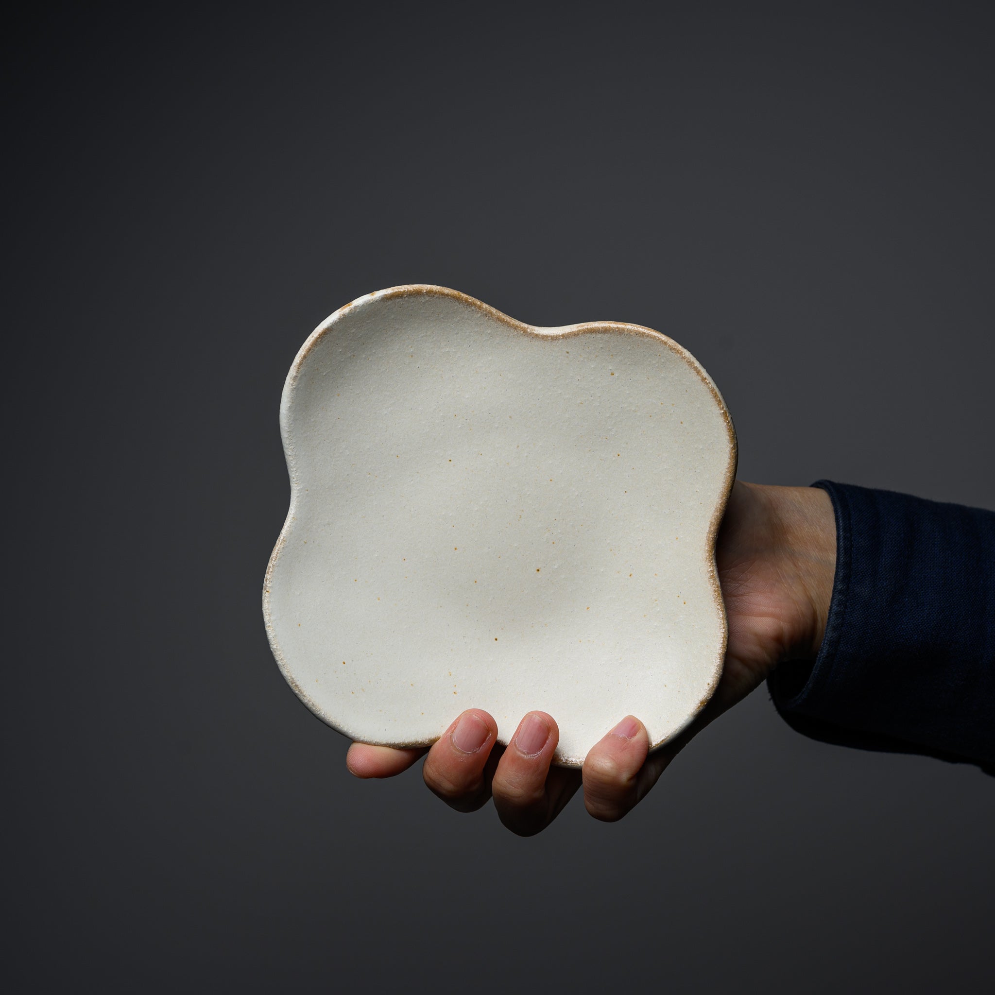 Wakasama Kiln Kinari Flower Plate - Handcrafted Japanese Ceramic Dish for Home Decor, Dining & Gifting | Perfect for Tea Ceremonies, Table Settings & Wall Display