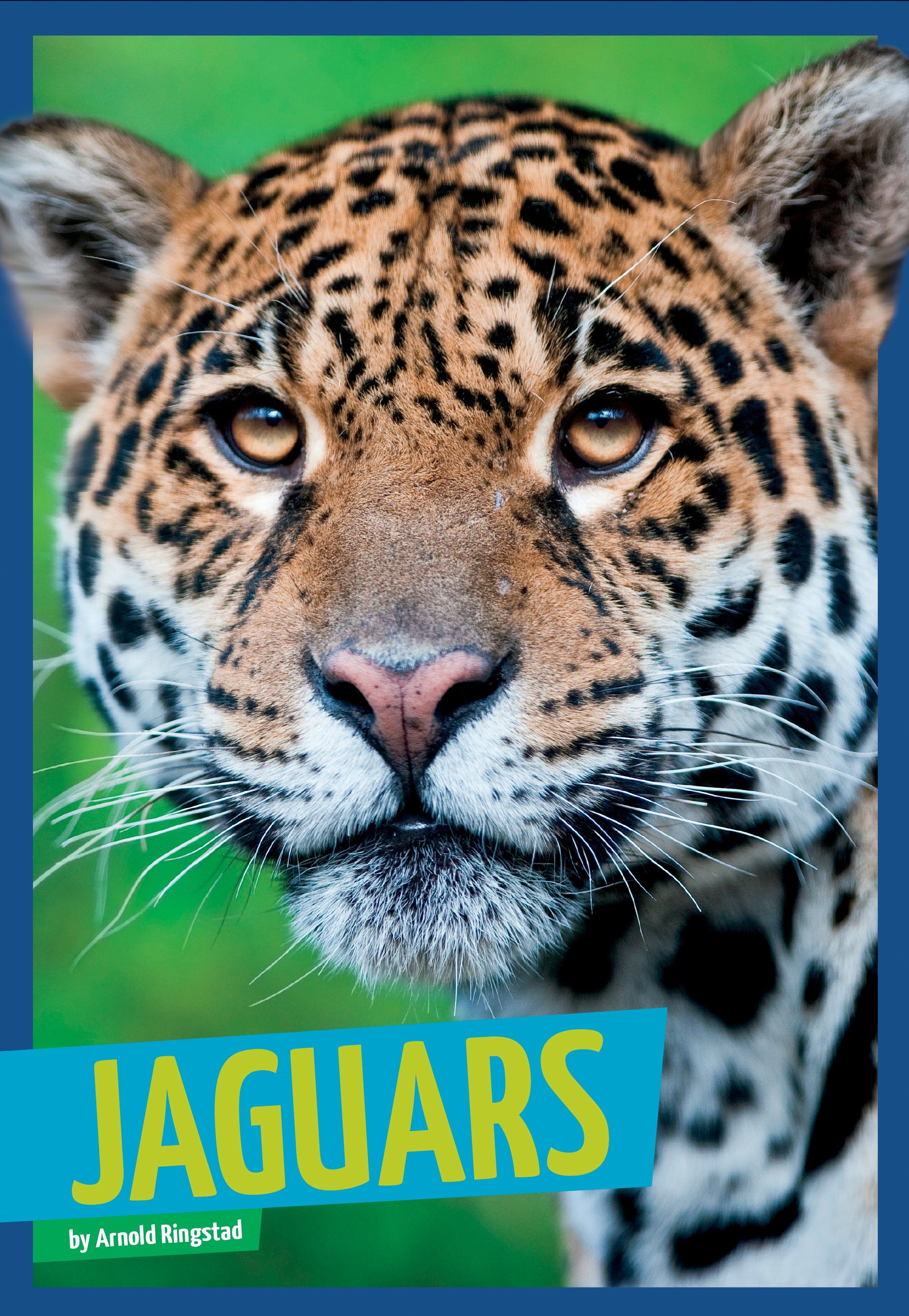 Jaguar Wild Cats - Realistic Stuffed Animal Plush Toy for Kids & Collectors | Perfect for Gifts, Room Decor, and Jungle Themed Parties