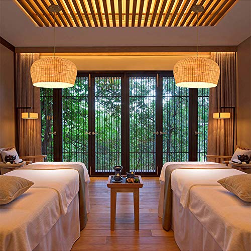 LITFAD Single Light LED Pendant Light - 19.5