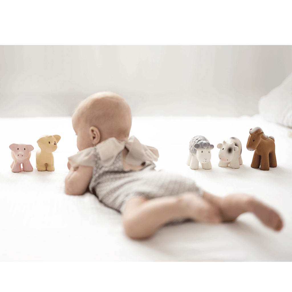 Tikiri Natural Rubber Teether and Rattle Toy for Babies - Pig Shaped Soothing Teething Toy for Infants | Perfect for Teething Relief, Sensory Play, and Early Development