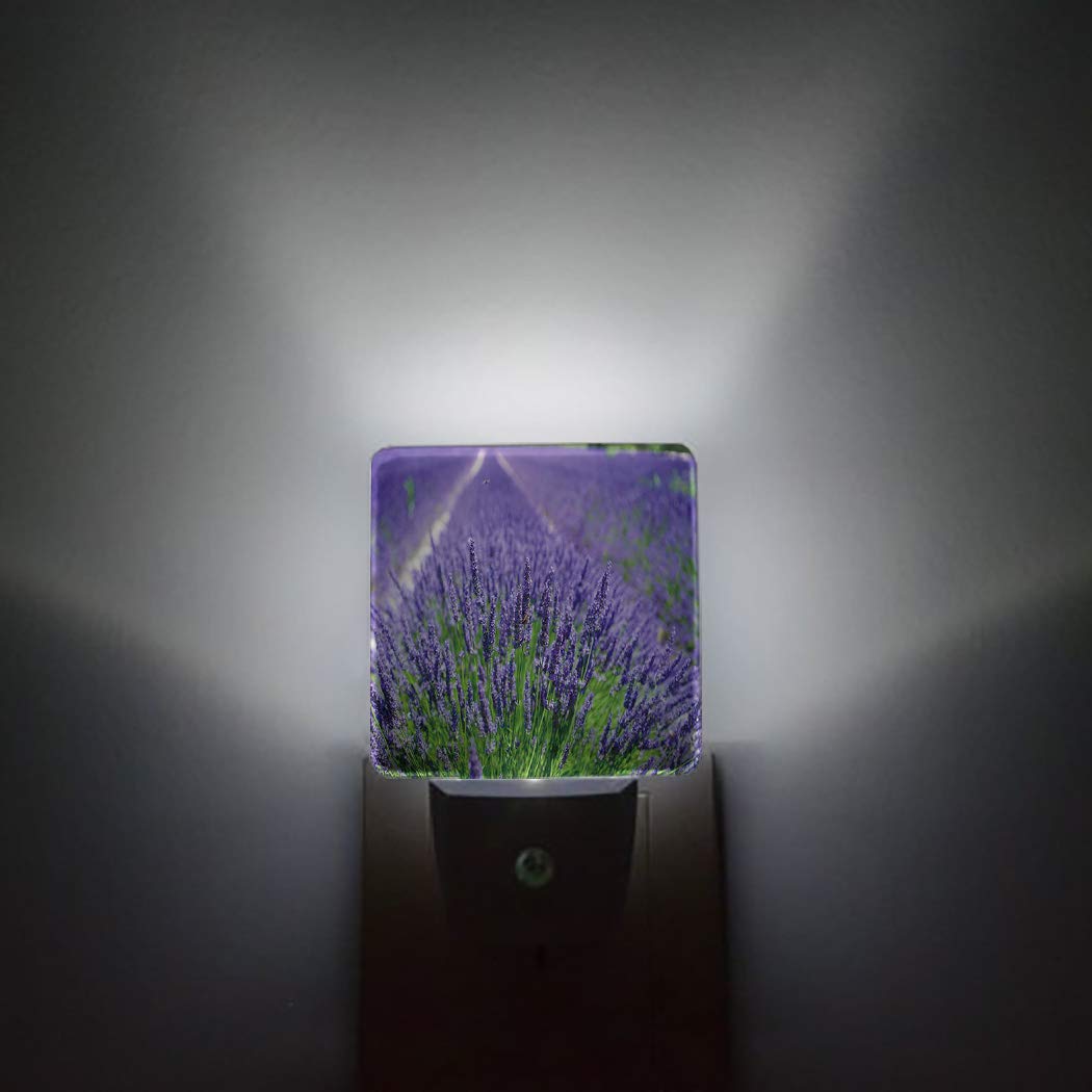 LED Night Light Plug in with Auto Sensor - Purple Lavender Flower Design, Square Dim Lighting for Bathroom, Bedroom, Hallway - Perfect for Kids, Girls & Adults (Home Decor, Nursery, Toilet Safety)