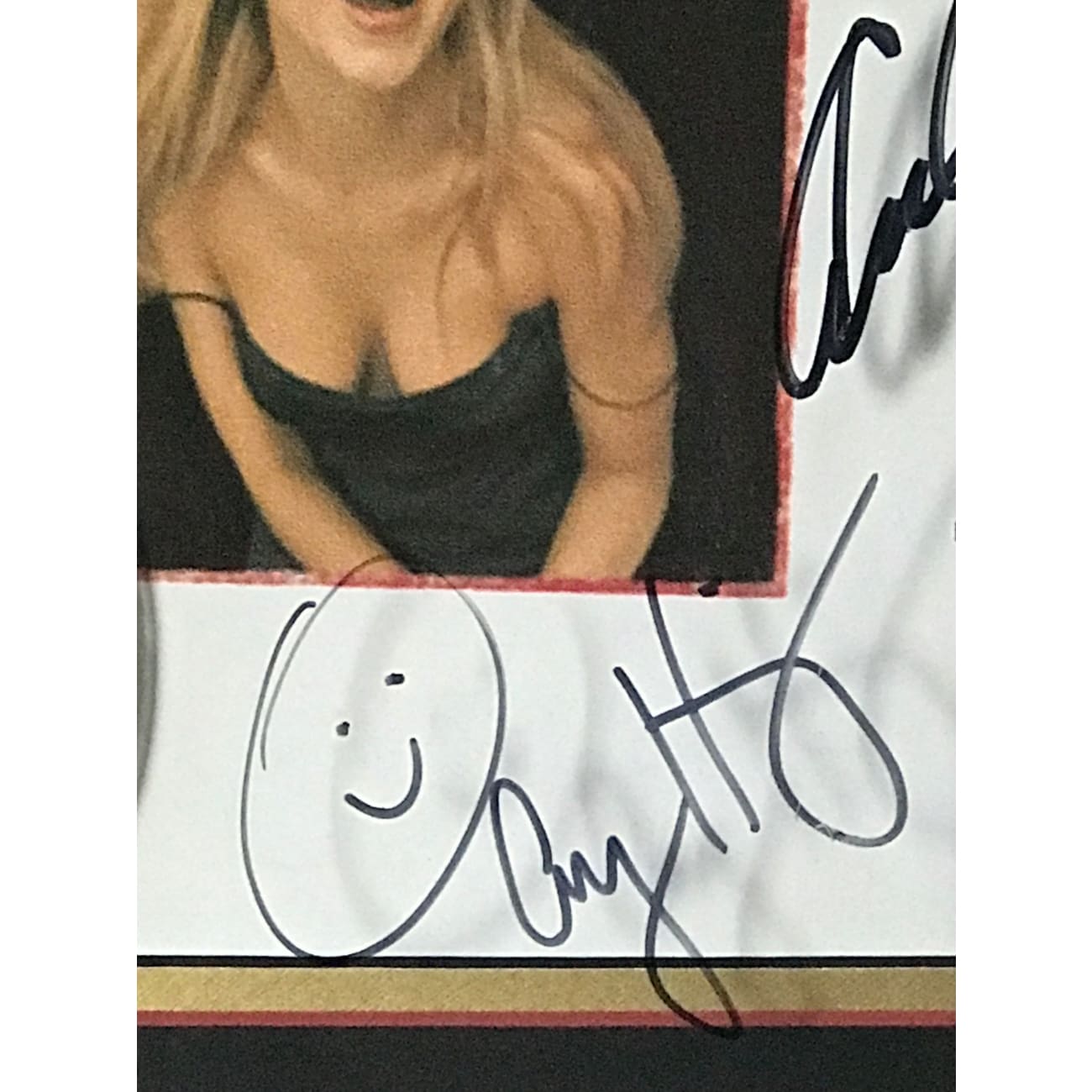 Original American Pie Soundtrack RIAA Gold Award - Autographed by Cast (Jason Biggs, Alyson Hannigan, Thomas Ian Nicholas, Eugene Levy) - Rare Collectible for Movie Memorabilia Fans & 90s Nostalgia Enthusiasts