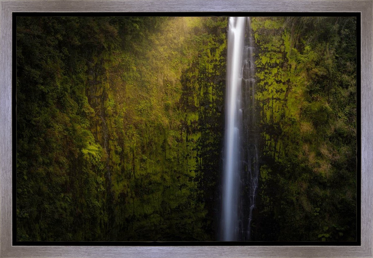 Stunning Akaka Falls Hawaii Landscape Art Print - Premium Gallery Wrap Canvas for Home & Office Decor - Perfect for Living Room, Bedroom, or Gift