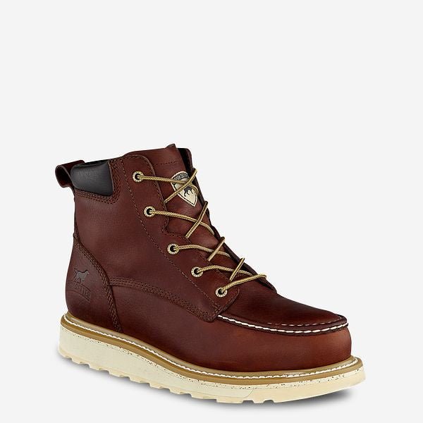 Irish Setter 83606 Ashby 6