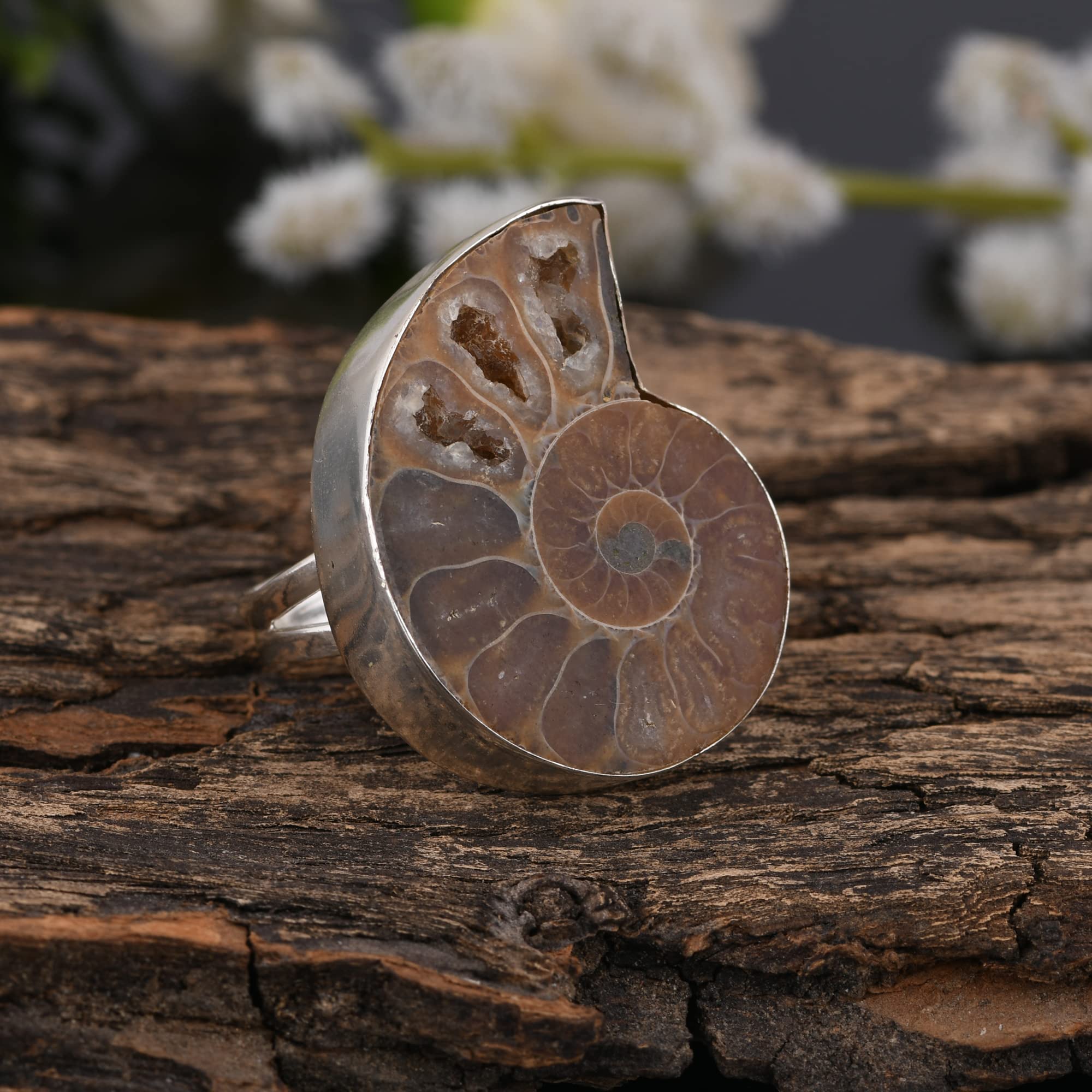 PANOPLY Ammonite Solid 925 Sterling Silver Ring for Women - Elegant Jewelry Gift for Mom, Wife, Girlfriend - Perfect for Birthday, Anniversary, Wedding & Christmas - Size 9.5 - Ideal for Everyday Wear & Special Occasions