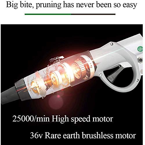 36V 4AH Electric Pruning Shears with Backpack - High Speed Professional Garden Pruner for Tree Branch Cutting | Perfect for Landscaping, Vineyard Maintenance & Home Gardening