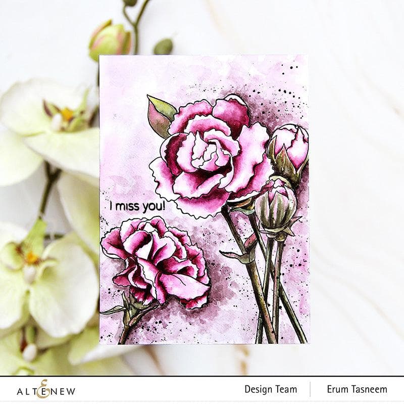 Grand Carnations Seeds for Planting - Beautiful Perennial Flowers for Home Garden, Landscaping & Bouquets | DIY Gardening Gift Idea