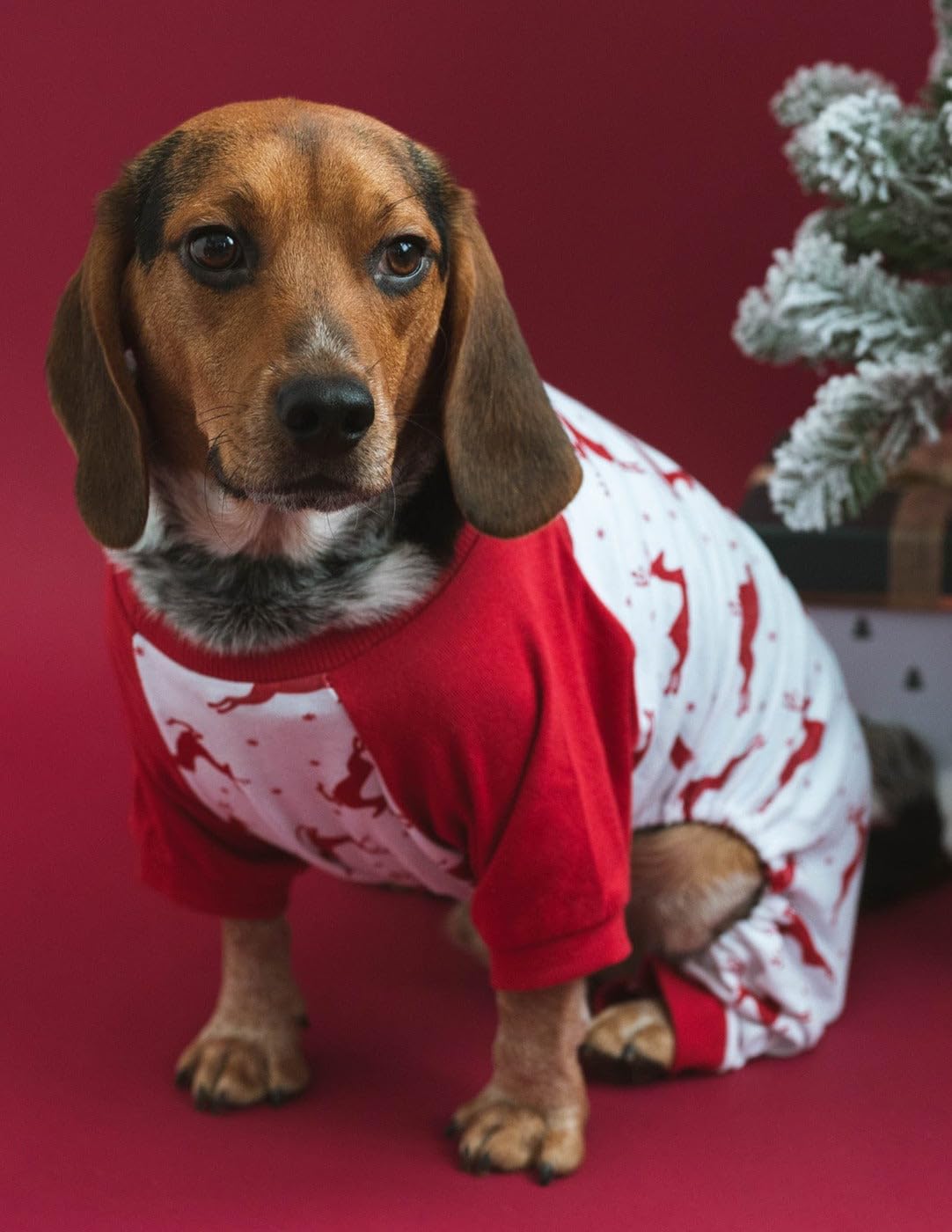 Leveret 100% Cotton Reindeer Christmas Dog Pajamas - Matching Holiday Pjs for Large Dogs (XXX-Large) - Cozy Winter Sleepwear for Pets